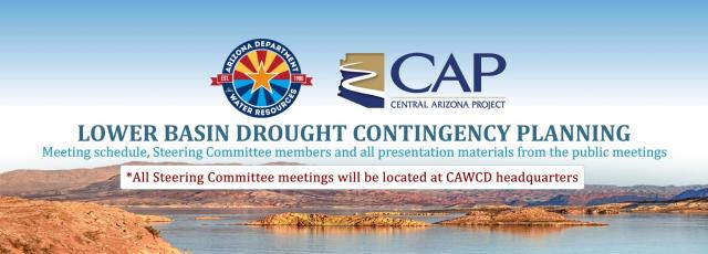 Homepage_Thumbnail_New_DCP