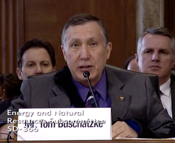 3.27.2019 Buschatzke at Senate hearing