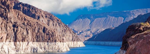 Article Banner_BORMEAD