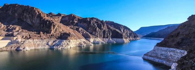 Article_banner-blue_mead